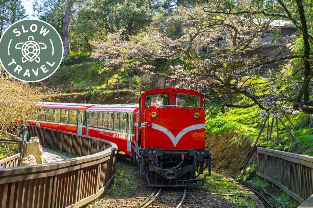 Rising 7000ft on Taiwan’s historical Alishan Woodland Train