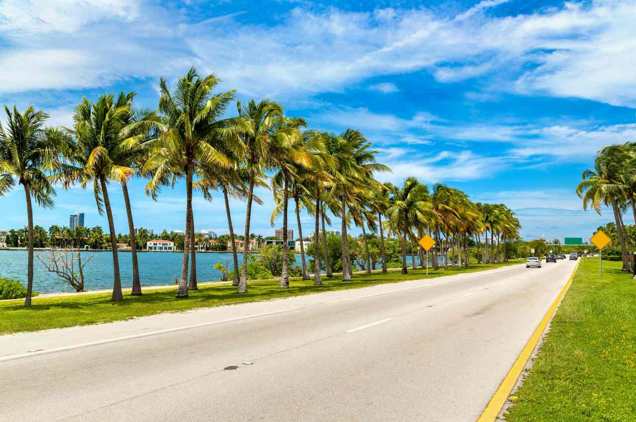 7 ideal trip in Florida